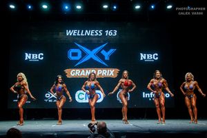 WELLNESS 163